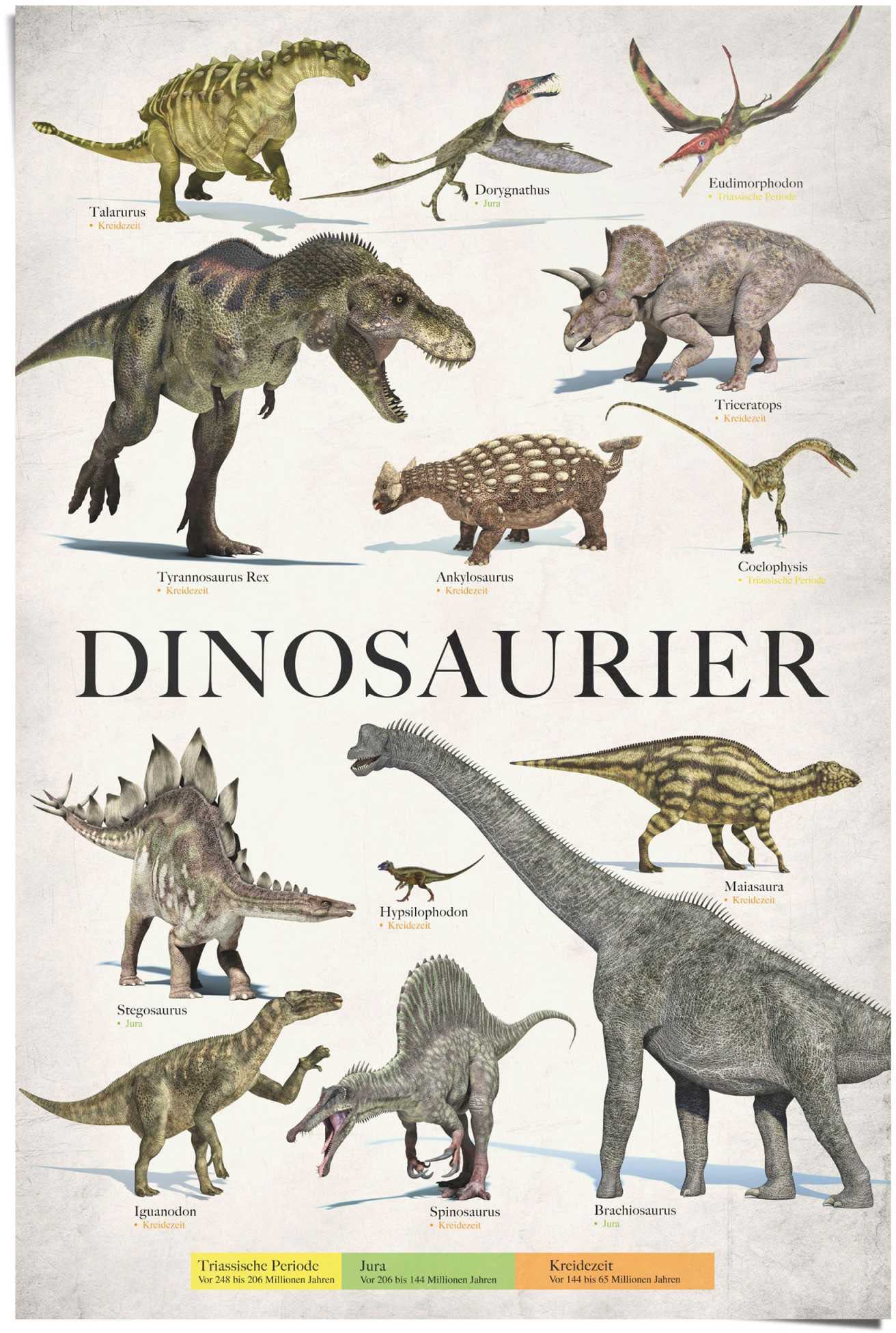 Reinders! Poster »Dinosaurier«, (1 St.)