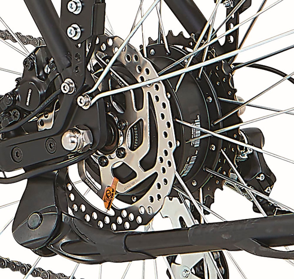 Prophete E-Bike »Entdecker 2.8«, 8 Gang, Shimano, Altus, Heckmotor 250 W, Pedelec, Elektrofahrrad für Herren