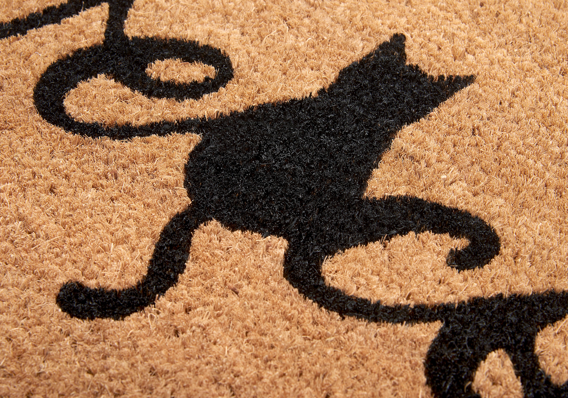 HANSE Home Fußmatte »Mix OTTO Kokos rechteckig, Schmutzfangmatte, Rutschfest, Shop im bestellen Online Welcome«, Innen, Mats Outdoor, Kokos, Paws Kokosmatte, Flur Cat