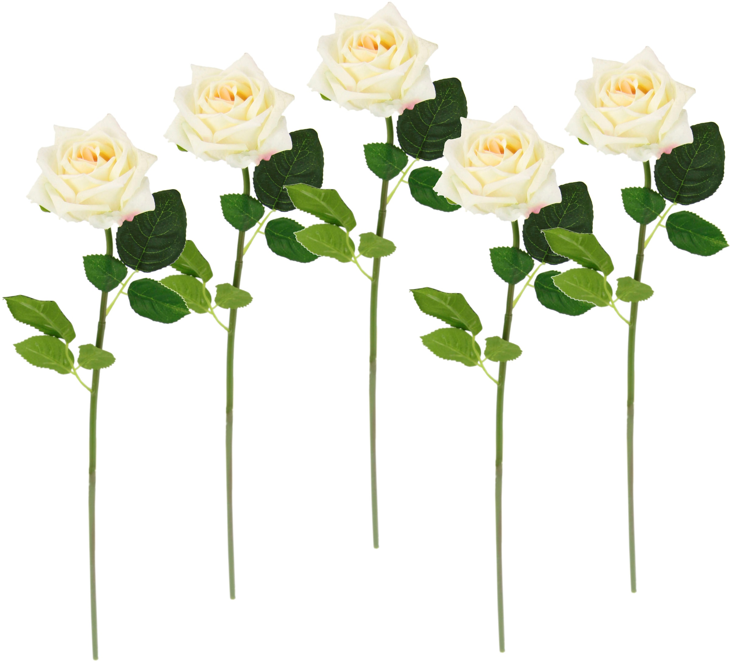 Kunstrose bei Kunstblume Set (5 Kunstzweig, I.GE.A. künstliche Rosen, »Rose«, Bouquet, OTTO Seidenrosen, St.), 5er