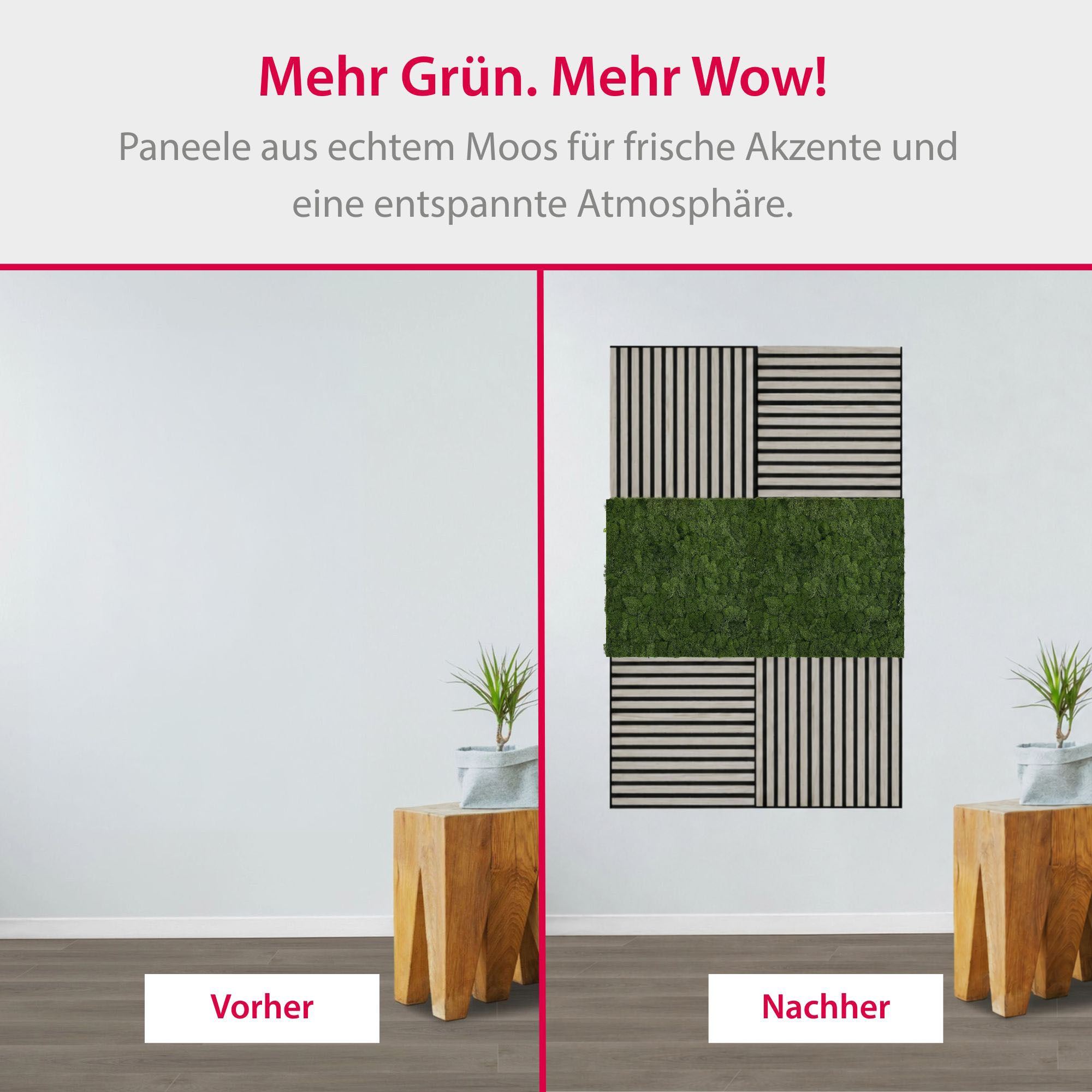 Architects Paper Wandpaneel »A.S. Création Modular Wall Wandpaneel Naturmoos« 1 tlg. Konserviertes Naturmoos auf rPET-Filz – pflegeleicht ohne Gießen
