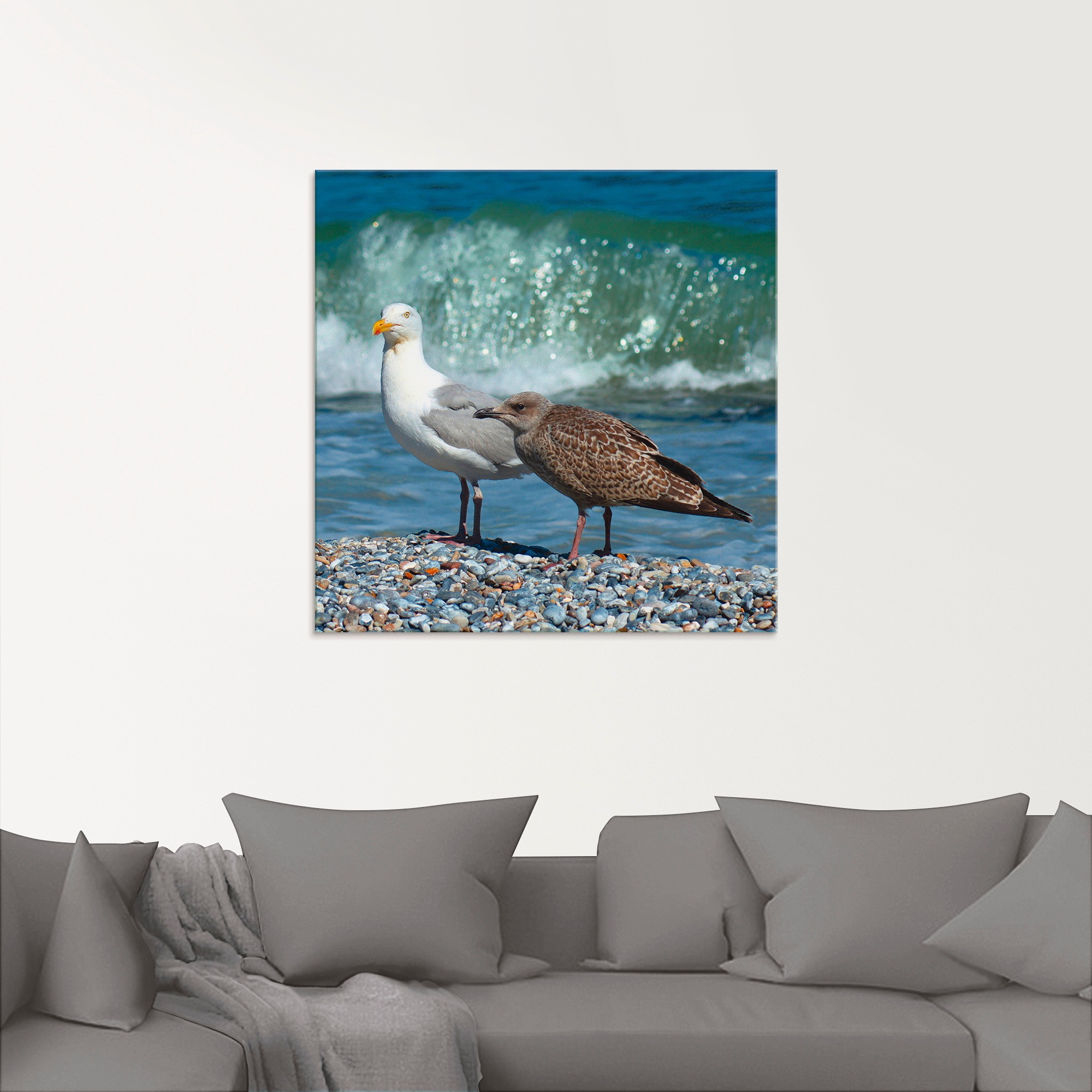 Artland Glasbild »Möwen in der Meeresbrandung«, Vögel, (1 St.), in verschiedenen Größen