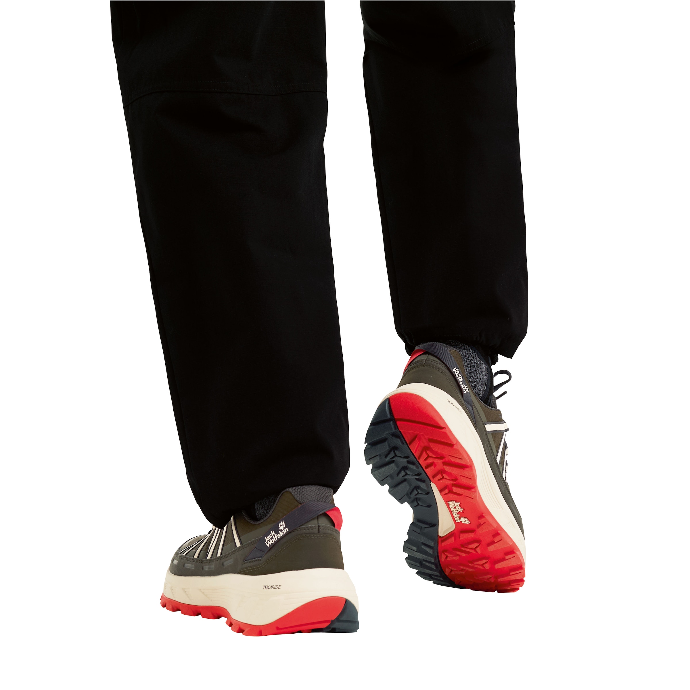 Jack Wolfskin Wanderschuh »WILD HIKE TEXAPORE LOW M«  Outdoorschuh, Trekkingschuh, wasserdicht