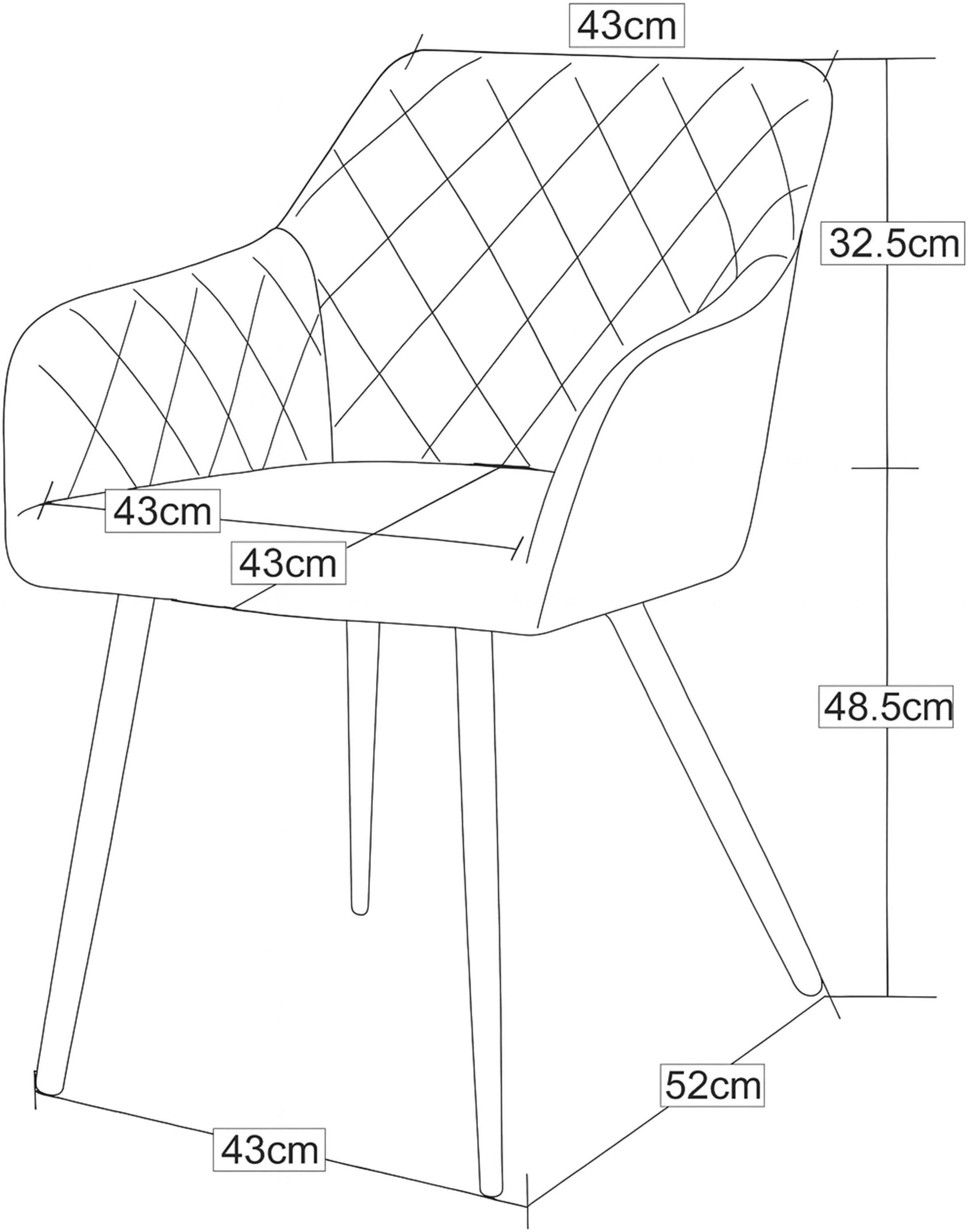 Home affaire Esszimmerstuhl »SUDBURRY, 2er Set, mit Metallgestell in matt schwarz« (Set) 2 Stk.in verschiedenen Farben, Belsatbarkeit pro Stuhl 120 kg, mit Armlehne