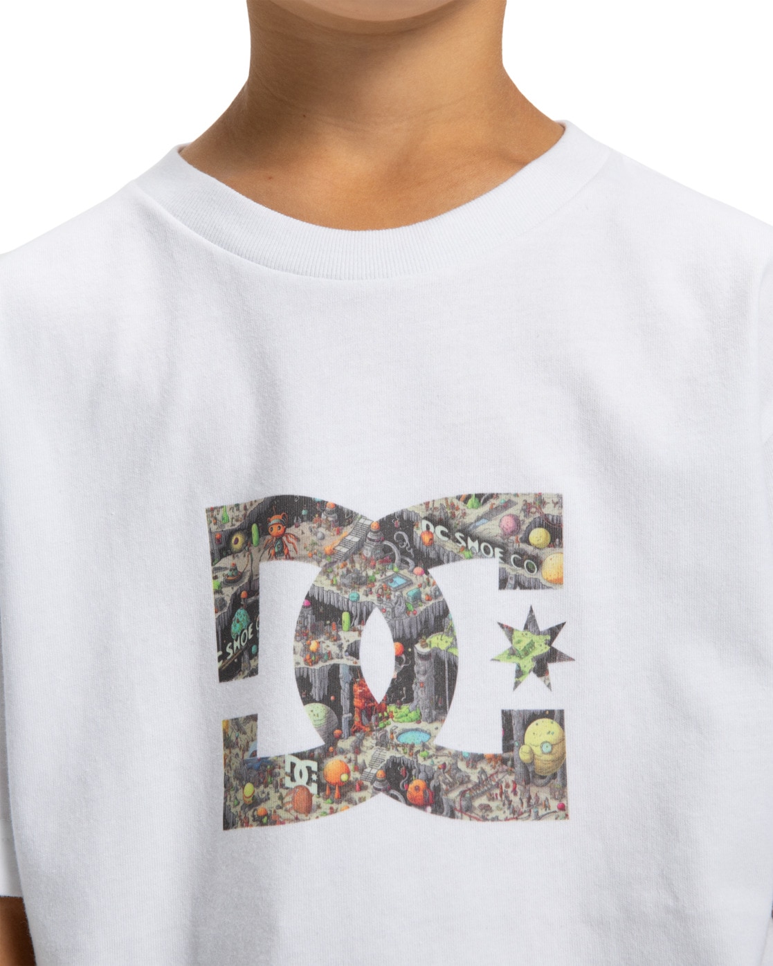 DC Shoes T-Shirt »DC Star Filled«
