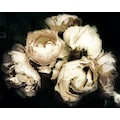 Leonique Acrylglasbild »Blüten«