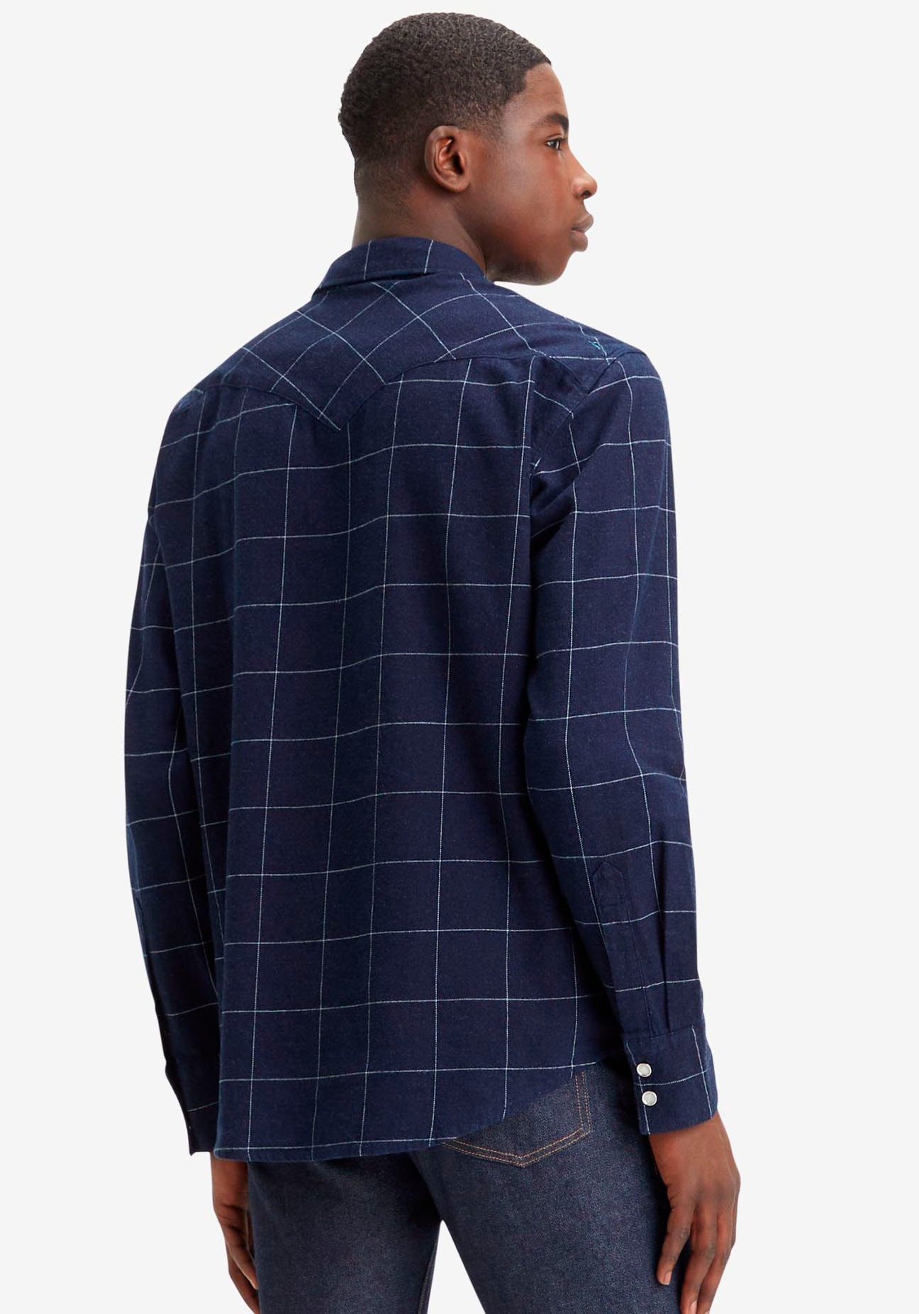 Levi's® Flanellhemd »BARSTOW WESTERN STANDARD«, in verschiedenen Karo-Dessins
