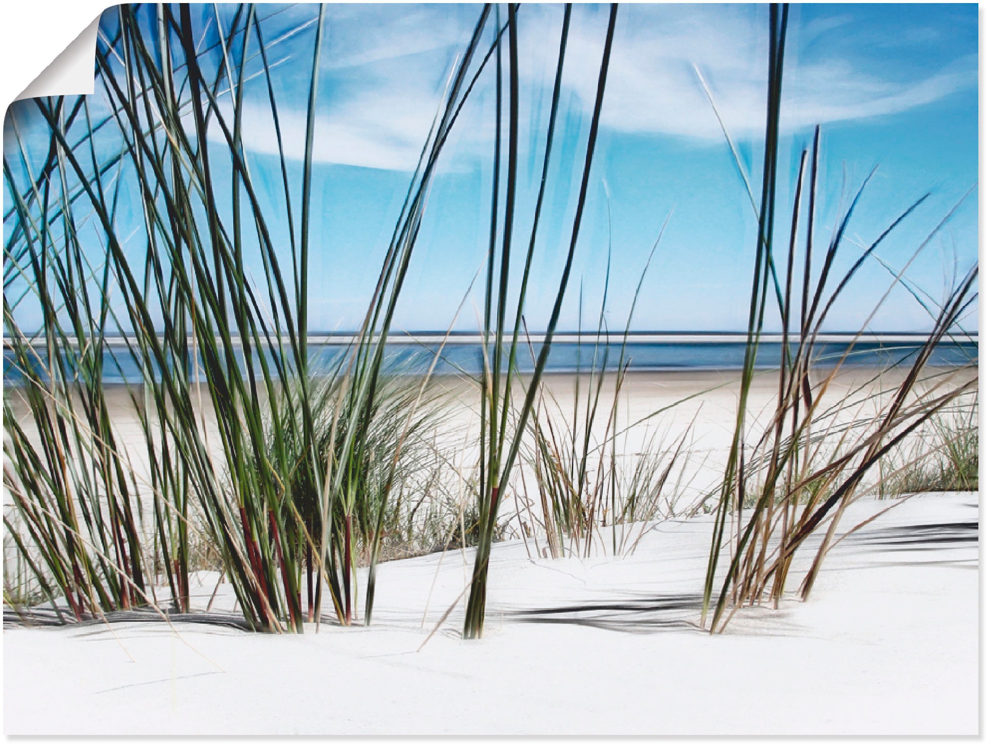 Artland Wandbild »Düne«, Strand, (1 St.), in vielen Größen & Produktarten -Leinwandbild, Poster, Wandaufkleber / Wandtattoo auch für Badezimmer geeignet