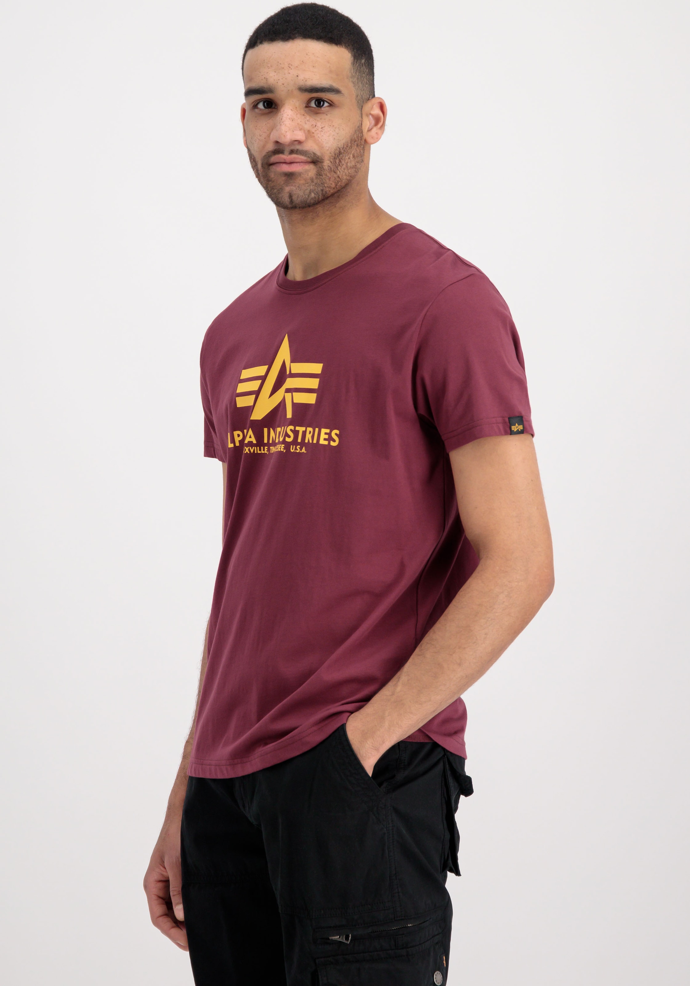 Alpha Industries Rundhalsshirt »Basic T 2 Pack«, (Set, 2 tlg.)