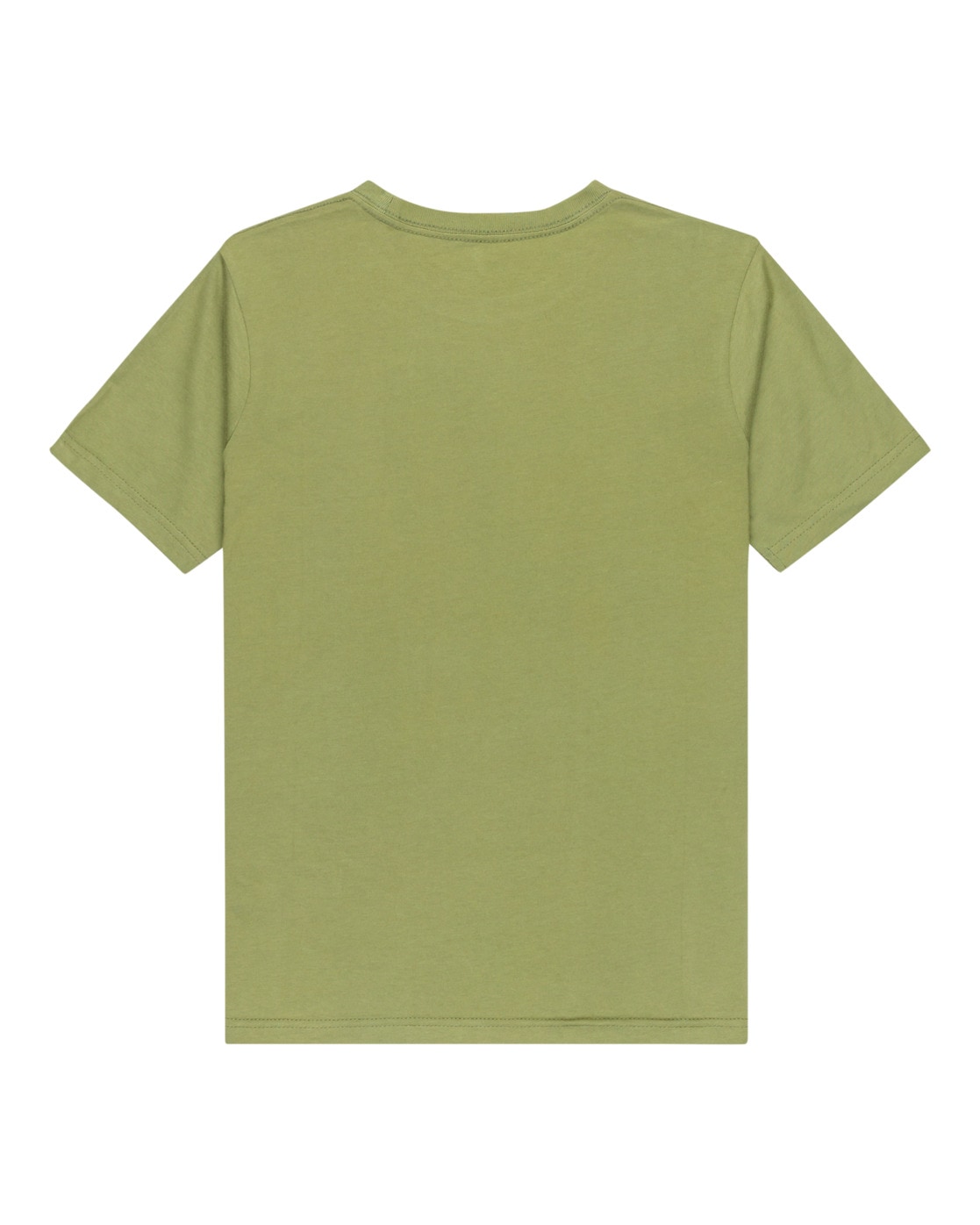 Quiksilver T-Shirt »Ev Type Line«