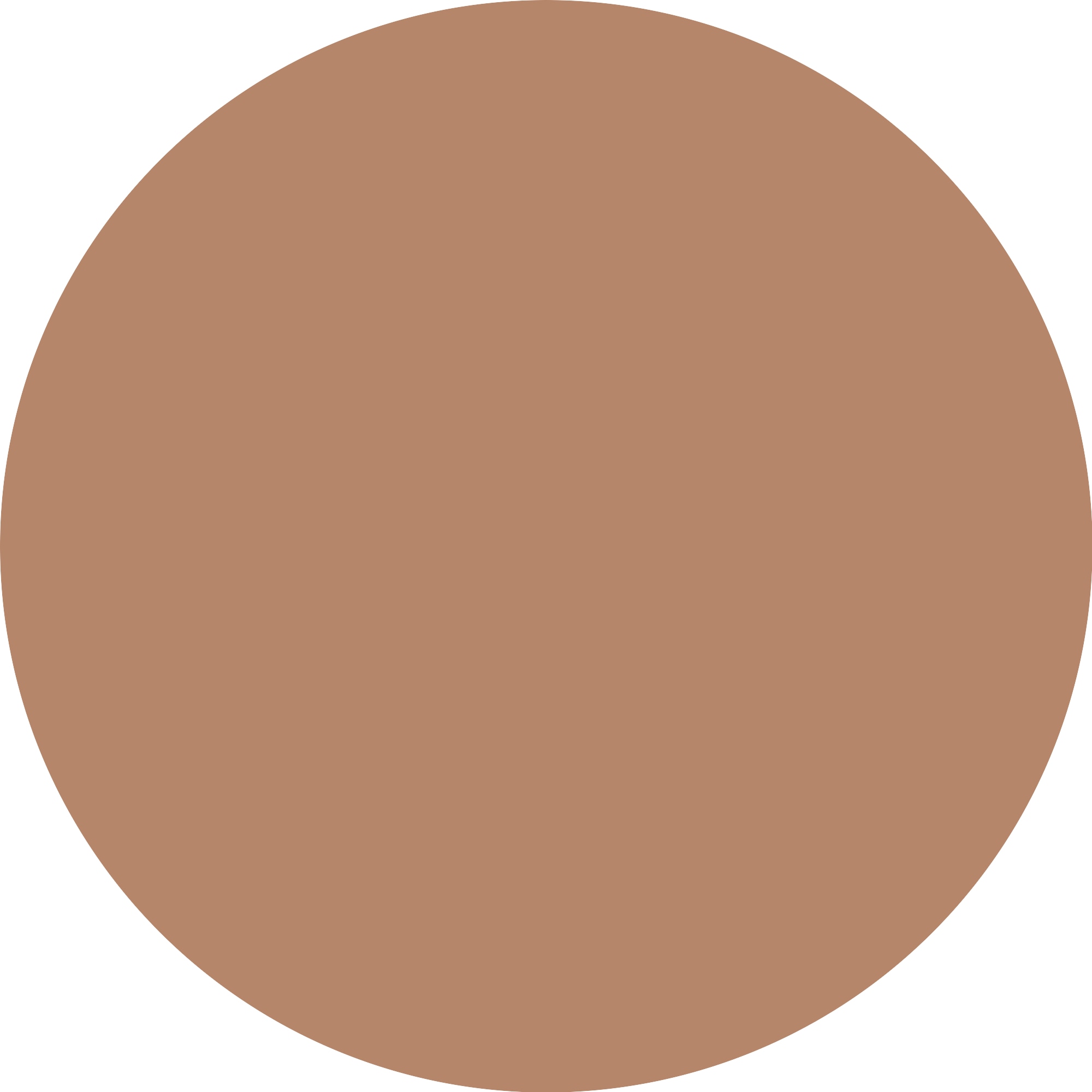 Essence Concealer »CAMOUFLAGE+ MATTE concealer«, (Set, 3 tlg.), 3-tlg., hohe Deckkraft, mattierend, alle Hauttypen