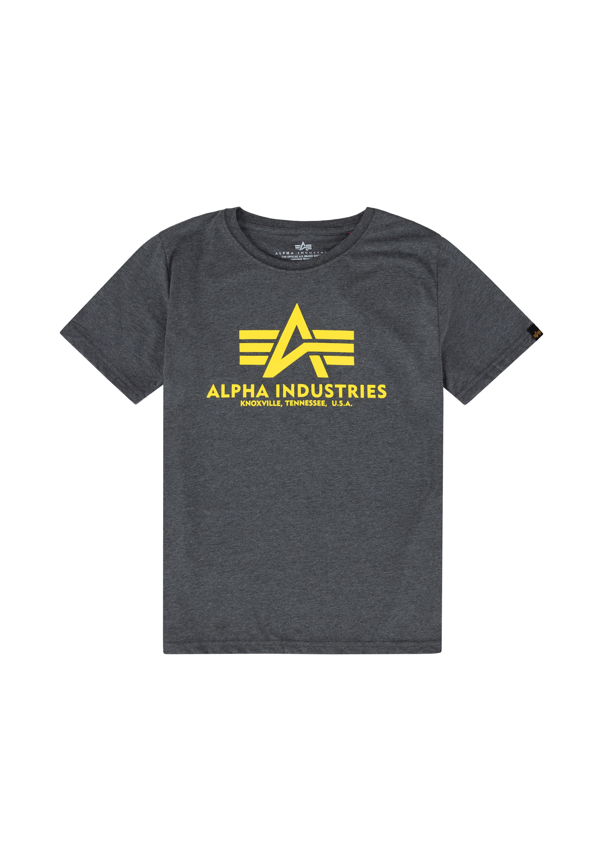 Alpha Industries T-Shirt »Alpha Industries Kids - T-Shirts Basic T Kids/Teens«