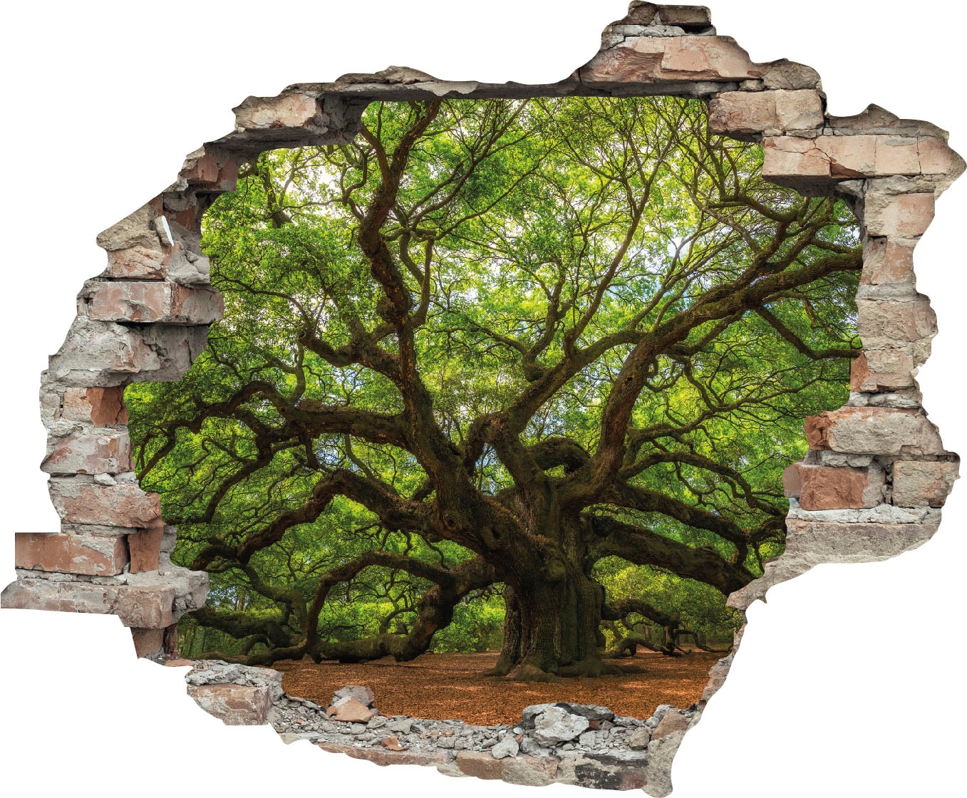 queence Wandtattoo »Baum«, (1 St.), Wandsticker, Wandbild, selbstklebend, 3D, Wanddurchbruch