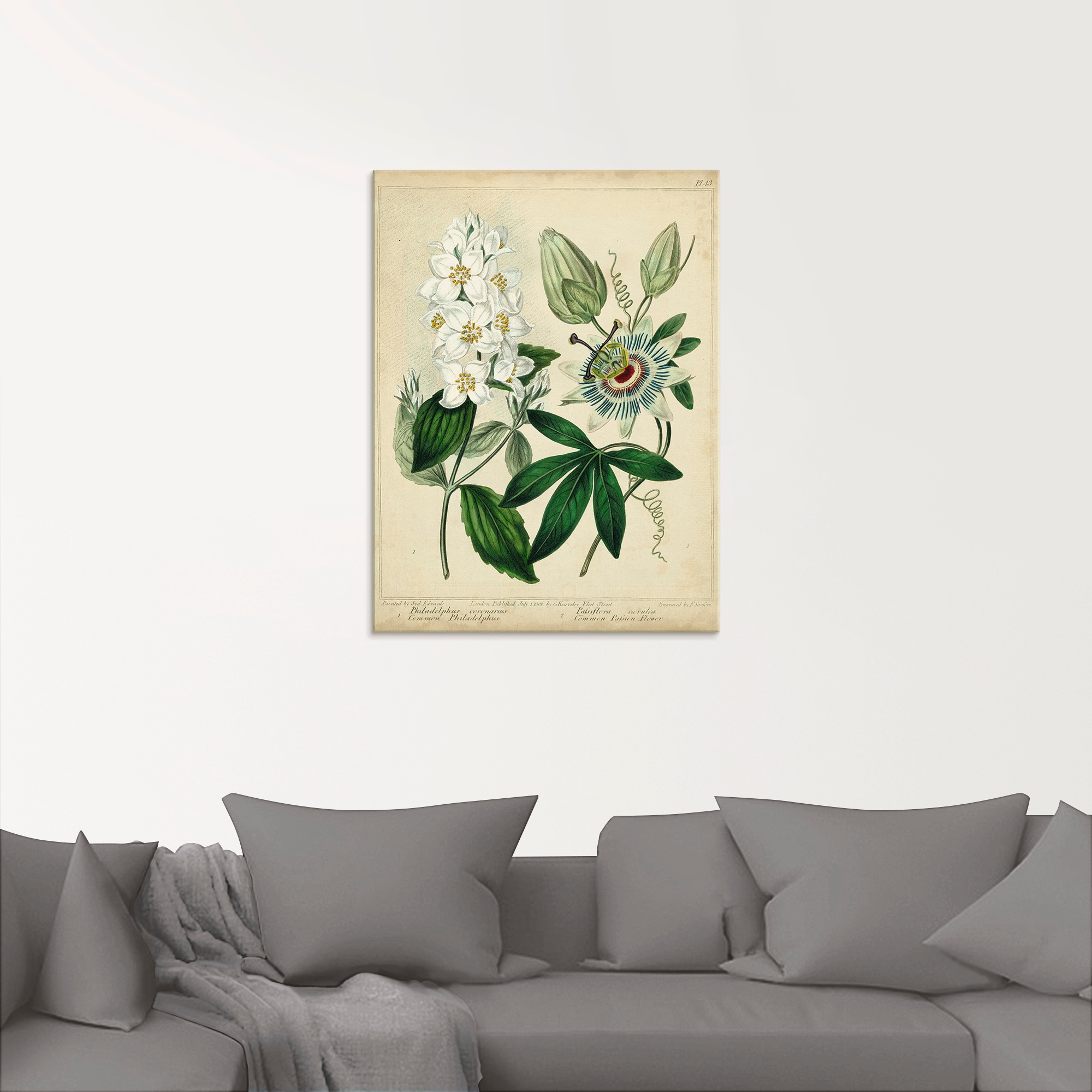 Artland Glasbild »Federnelke II«, Blumen, (1 St.), in verschiedenen Größen