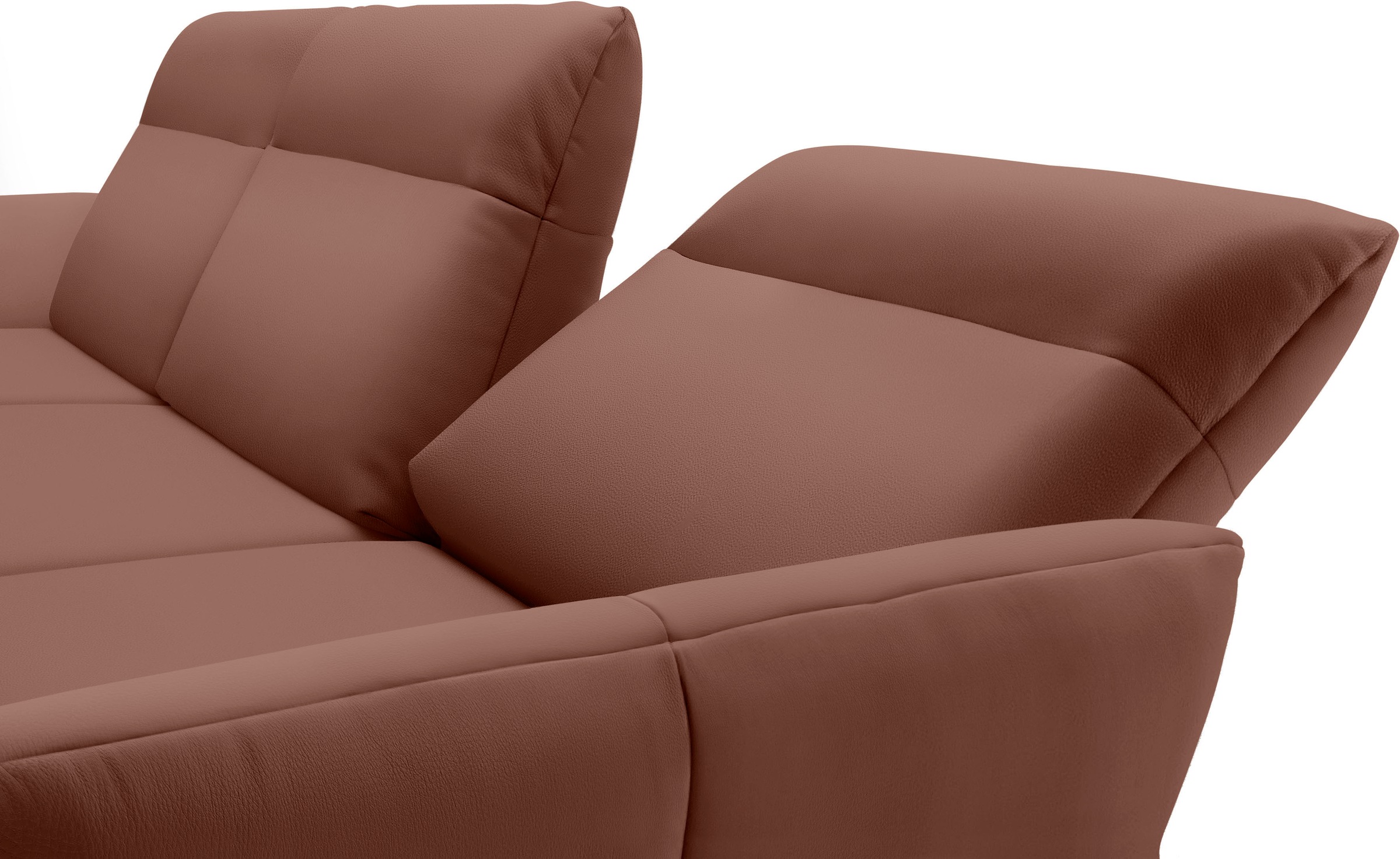 Creation BY ROLF BENZ Ecksofa »hs.460«, Sockel in Eiche, Winkelfüße in Umbragrau, Breite 338 cm