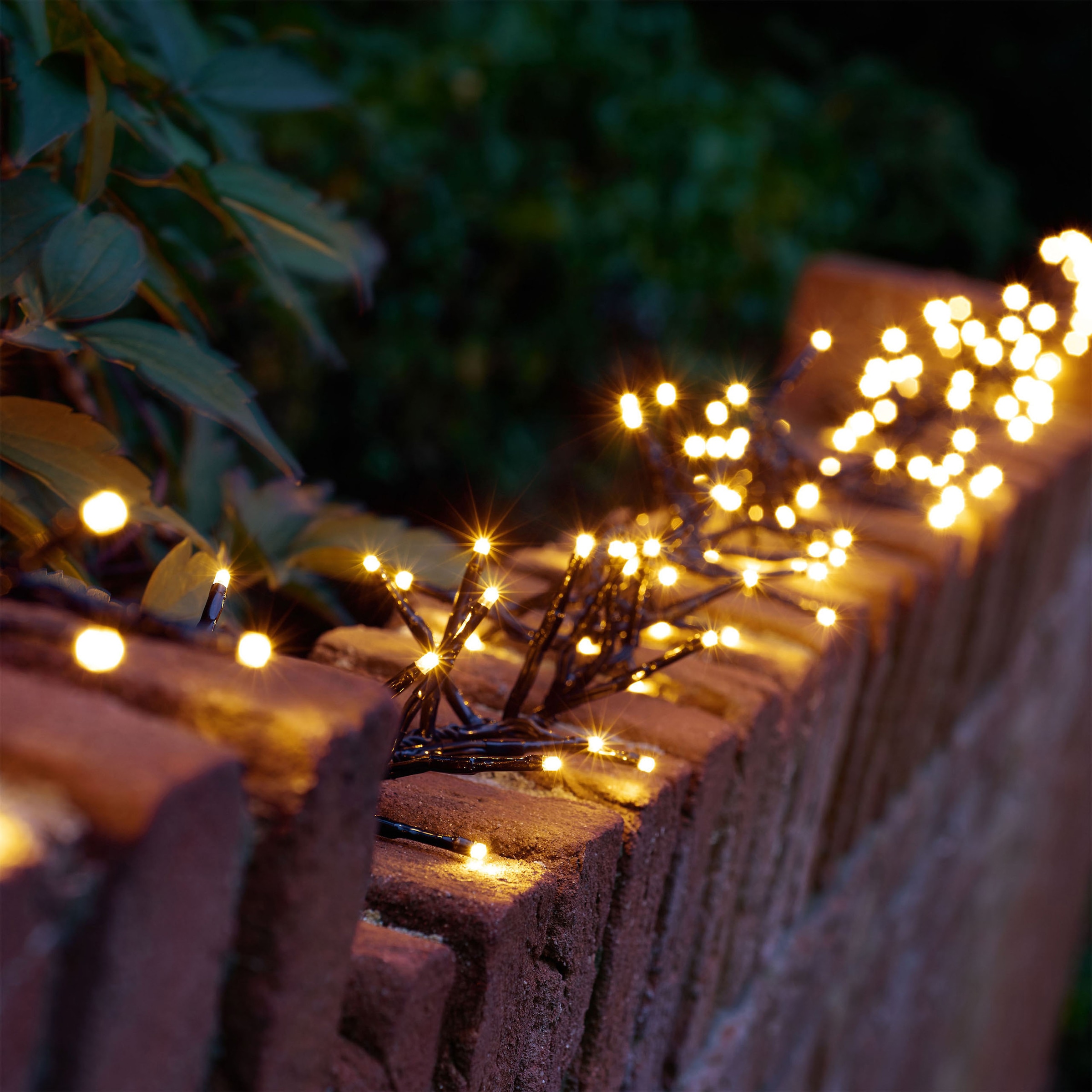 OTTO home LED-Lichterkette »Clusterlichterkette,3/6/8/12/14/18/24 m, 8 Modi, Timer, Indoor Outdoor« Blinkfunktionen, Timer, Memoryfunktion, incl. Atapter, 3 m Zuleitung