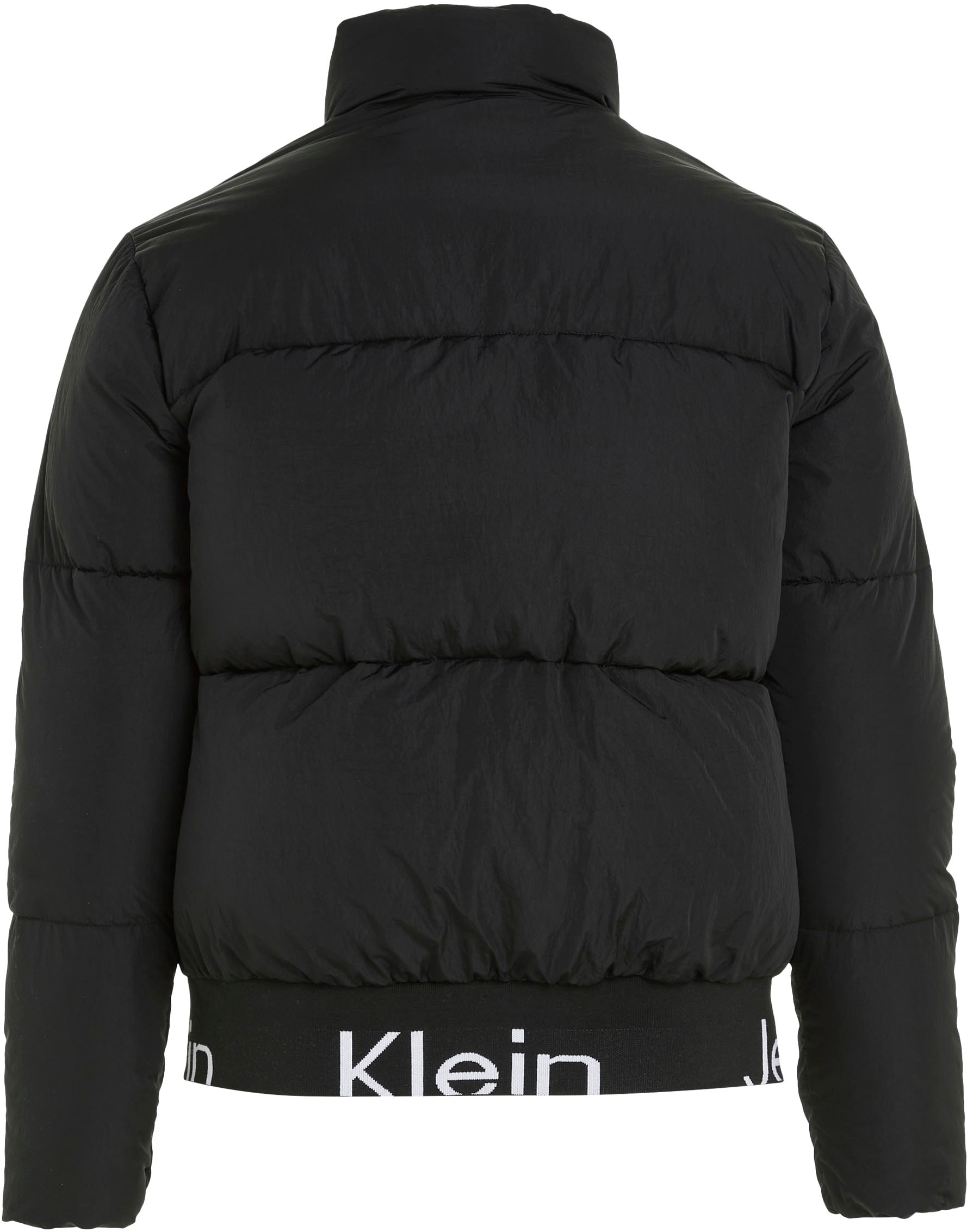 Calvin Klein Jeans Plus Steppjacke »PLUS LOGO HEM SHORT PUFFER«, mit elastischem Calvin Klein Jeans Bund