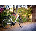 Adore E-Bike »Versailles«, 7 Gang, Shimano, Tourney, Heckmotor 250 W