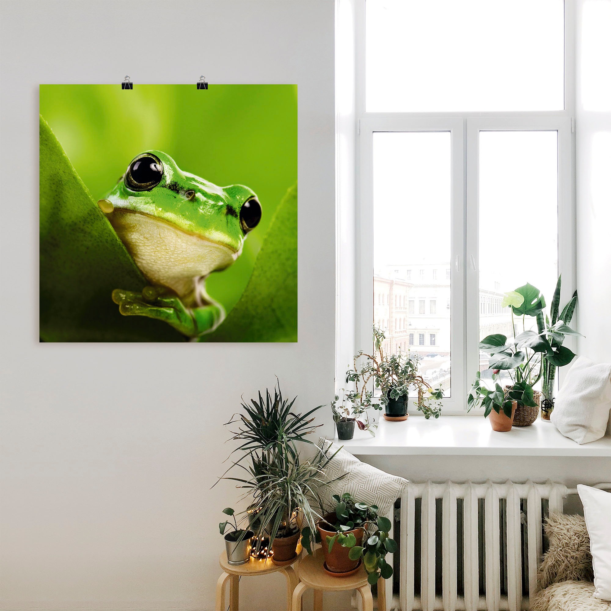 Artland Wandbild »Ausspähender Frosch« Wassertiere 1 Stk. tlg. als Leinwandbild, Poster in verschied. Größen