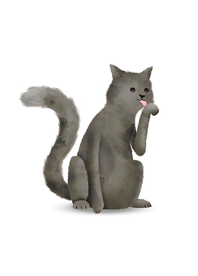 Komar Bild »Cute Animal Cat« Tiere 1 Stk. tlg. Wandbild zur Dekoration - ohne Rahmen