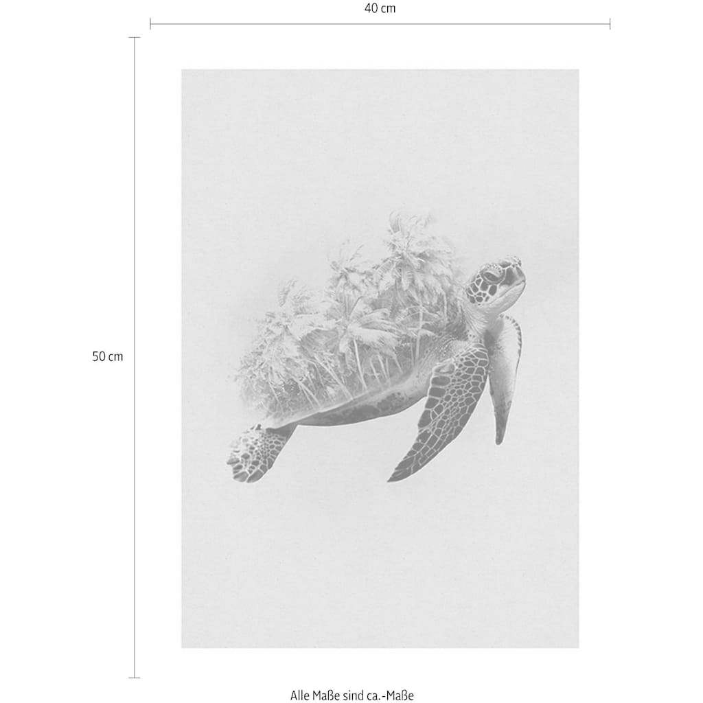 Komar Poster »Animals Paradise Turtle«, Tiere, (1 St.)