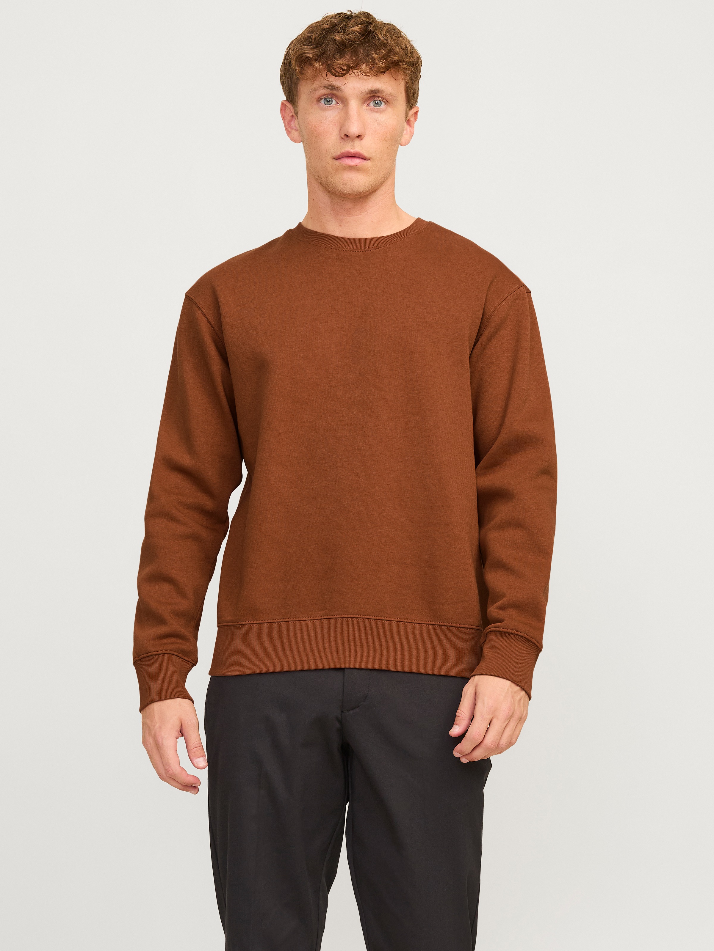 Sweatshirt »JJESTAR BASIC SWEAT CREW NECK NOOS«, mit Rundhalsausschnitt