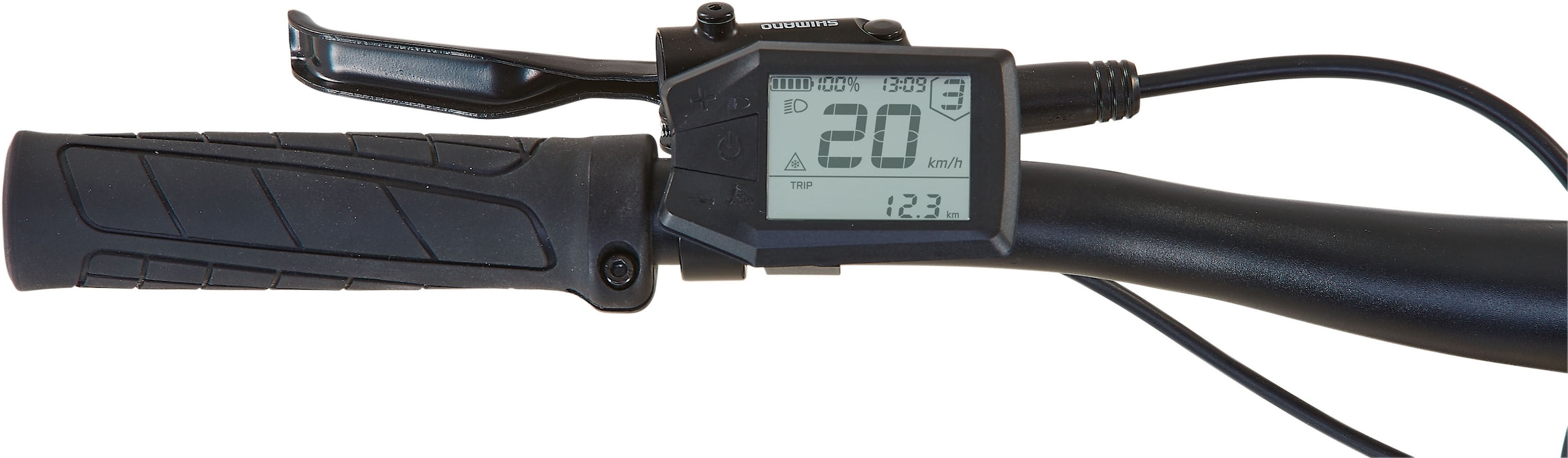 Prophete »Dice 2.0« 9 Gang Shimano Alivio Schaltwerk Kettenschaltung Heckmotor 250 W Pedelec, Elektrofahrrad für Damen und Herren, MTB