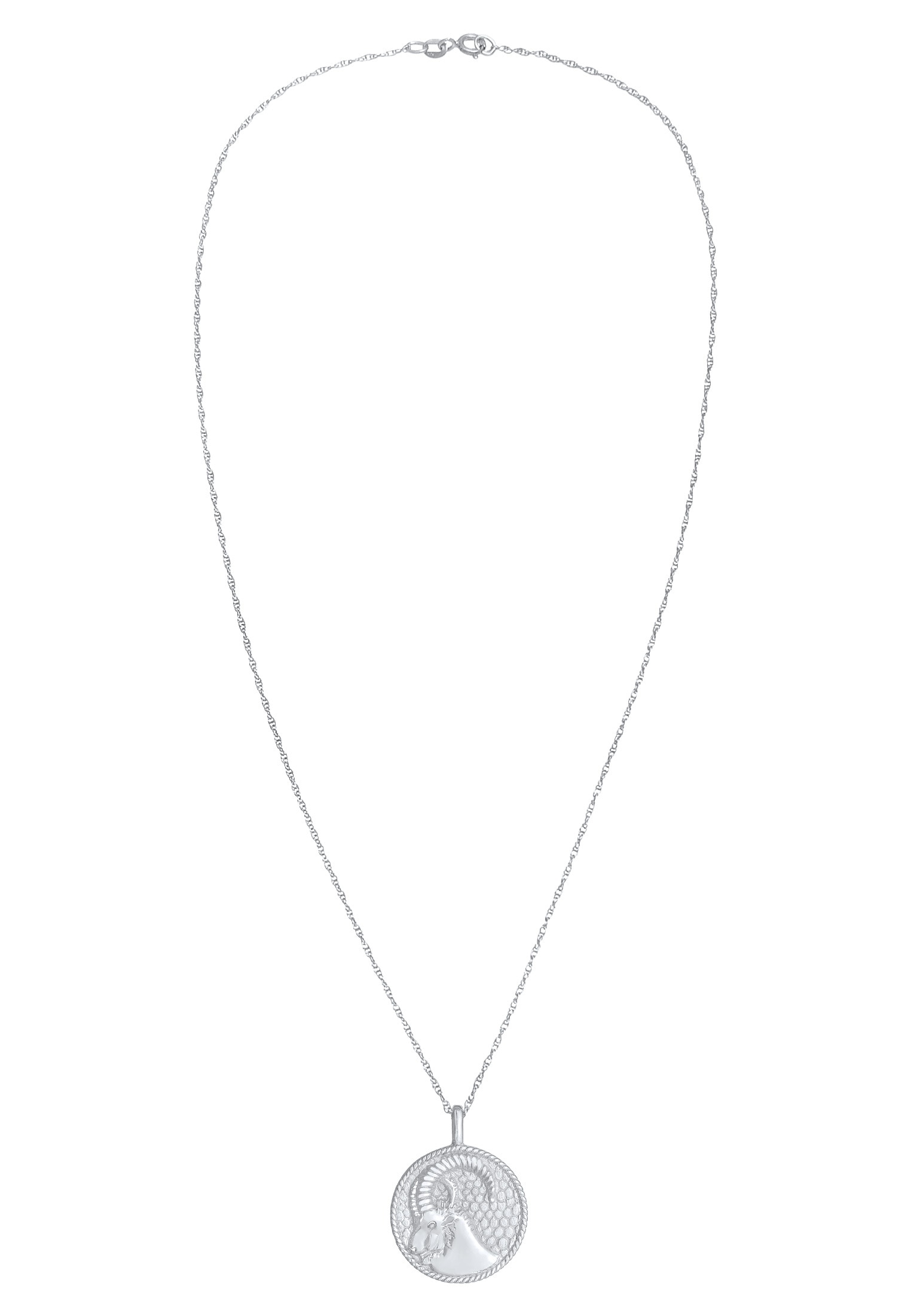 Elli Kette mit Anhänger »Halskette Sternzeichen Steinbock Astro Münze 925 Silber«