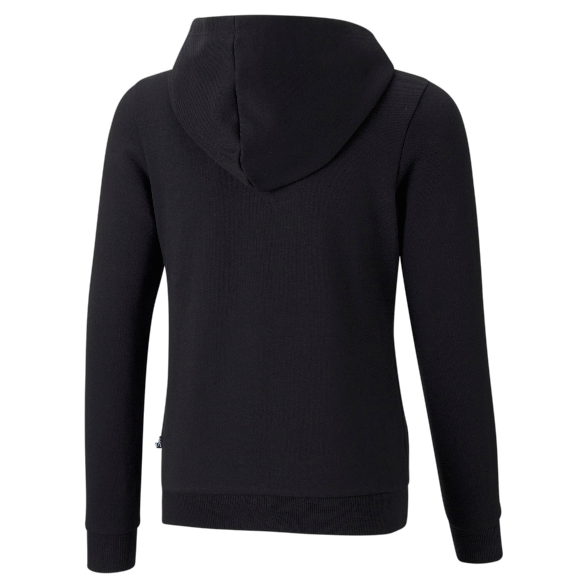 PUMA Kapuzensweatshirt »ESS SMALL LOGO FULL-ZIP HOODIE TR G«