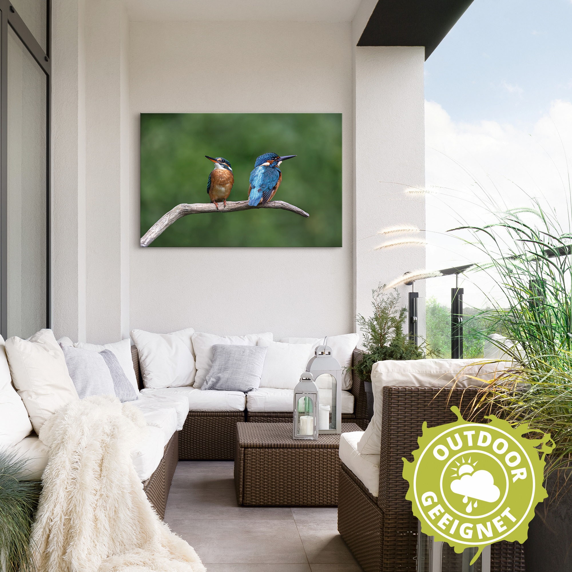 Artland Wandbild »Zwei Eisvogel«, Vogelbilder, (1 St.), als Alubild, Outdoorbild, Poster in verschied. Größen