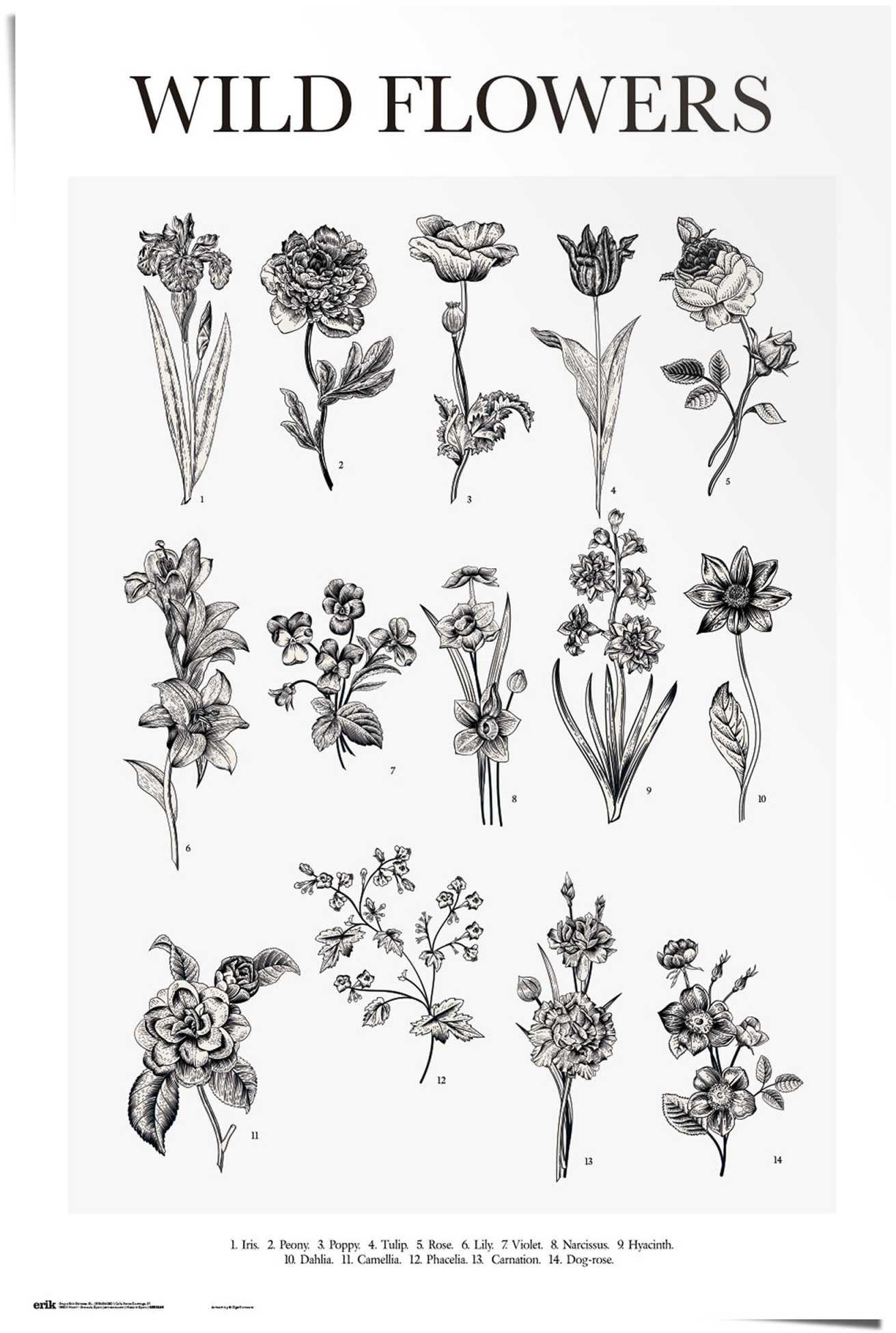 Reinders! Poster »Wilde Blumen«