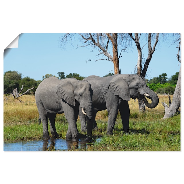 Artland Wandbild »Afrikanische Elefanten«, Wildtiere, (1 St.), als Alubild,  Leinwandbild, Wandaufkleber oder Poster in versch. Größen bestellen im OTTO  Online Shop