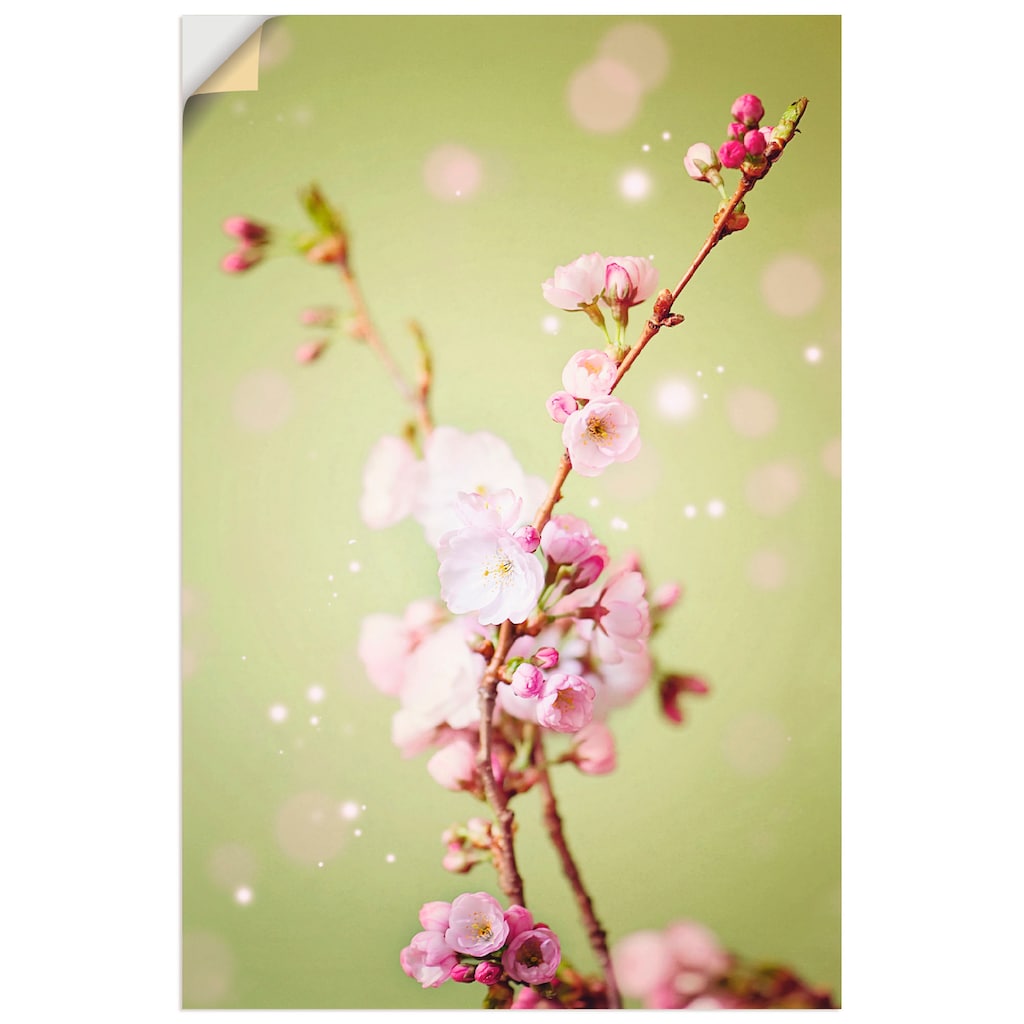 Artland Wandbild »Kirschblütenzweig«, Blumen, (1 St.)