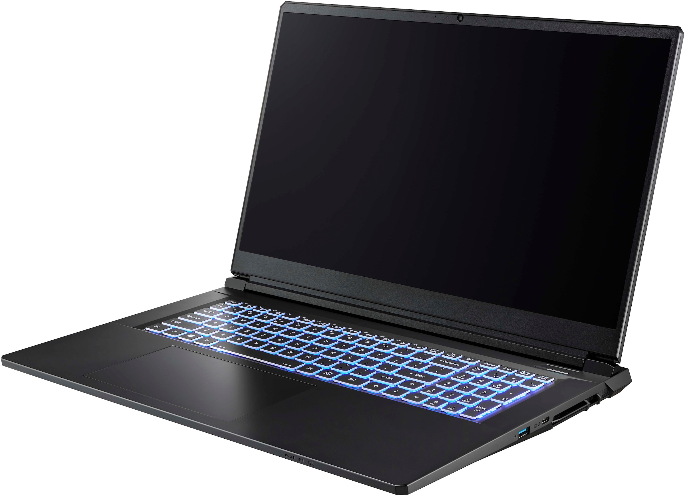 CAPTIVA Gaming-Notebook »Entry Gaming I10-1084GE« 43,9 cm / 17,3 ″ Intel Core i7 GeForce RTX 5060 500 GB SSD