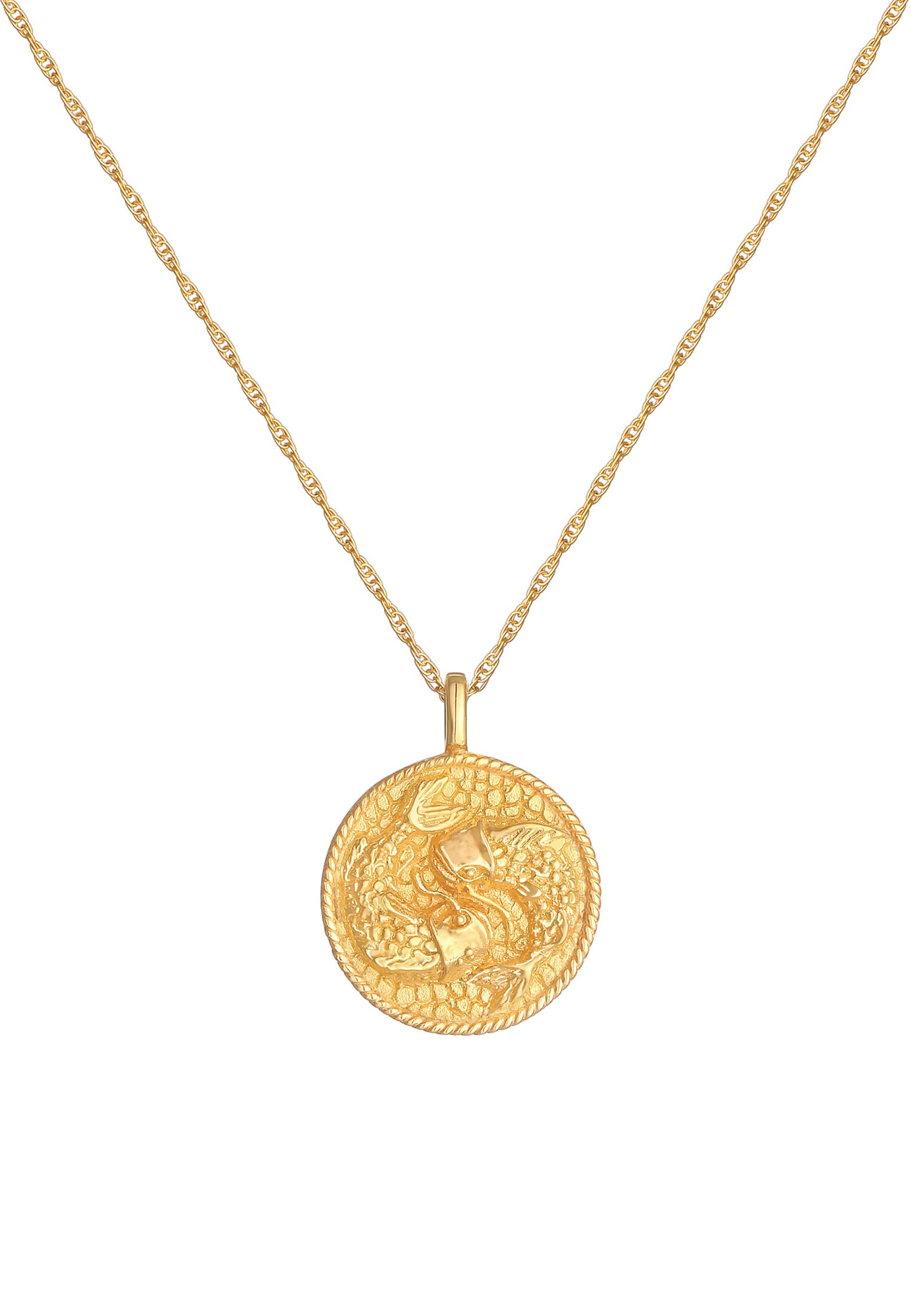 Elli Kette mit Anhänger »Halskette Sternzeichen Fisch Zodiac Astro Münze 925 Silber«