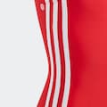 adidas Performance Badeanzug »Originals Adicolor 3-Streifen Badeanzug«