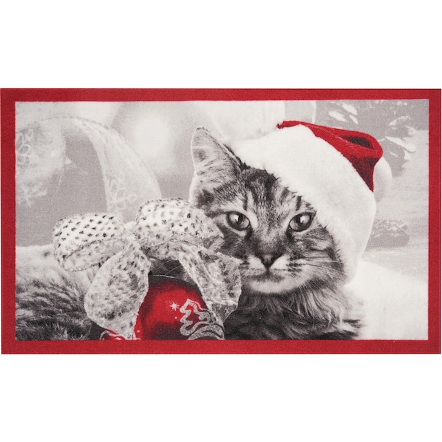 HANSE Home Fußmatte »Christmas Cat«, rechteckig, Tier Motiv, Pflegeleicht,  Rutschfest, Weihnachten, Waschbar bestellen bei OTTO