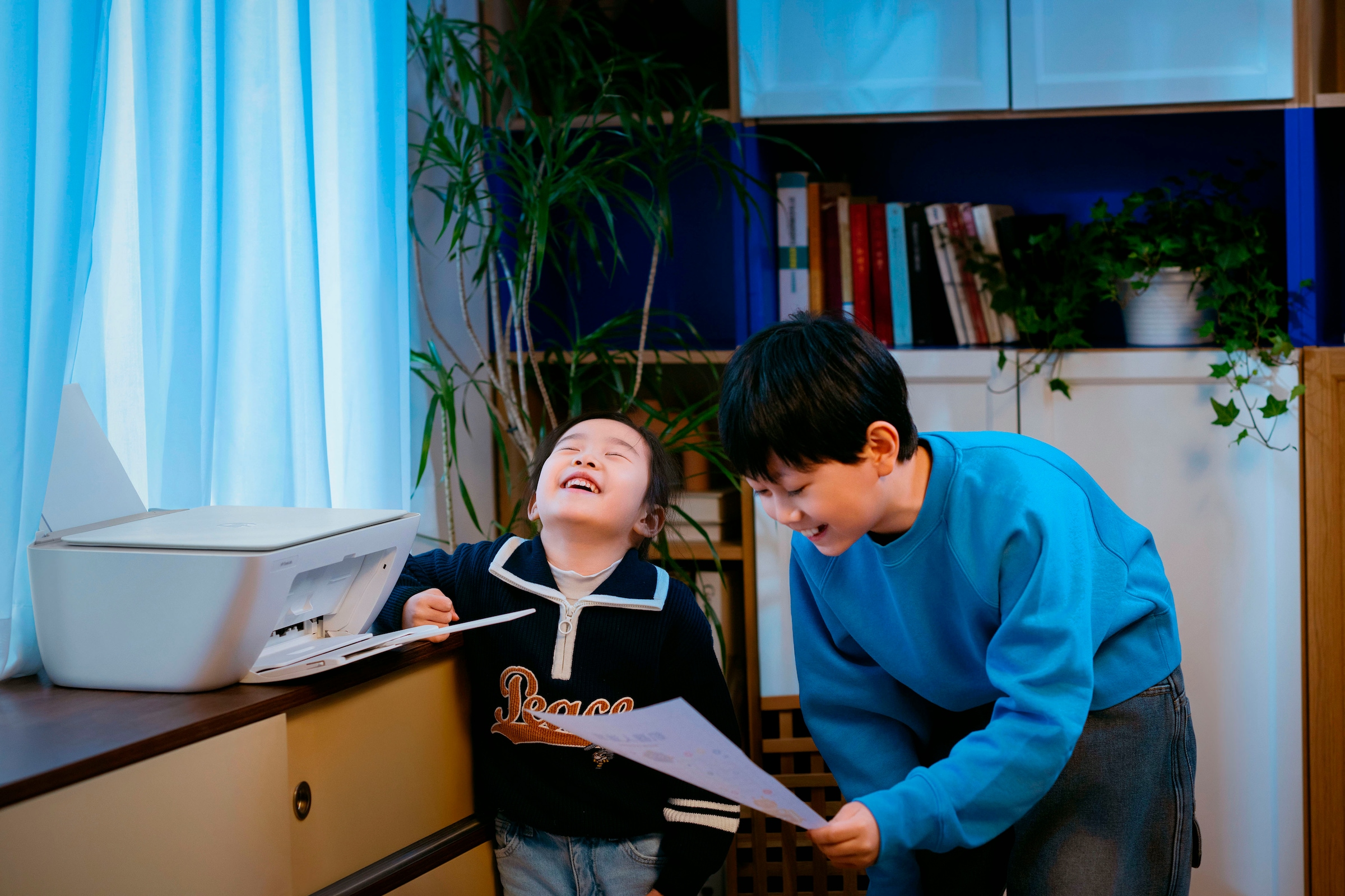 HP Multifunktionsdrucker »DeskJet 2920«