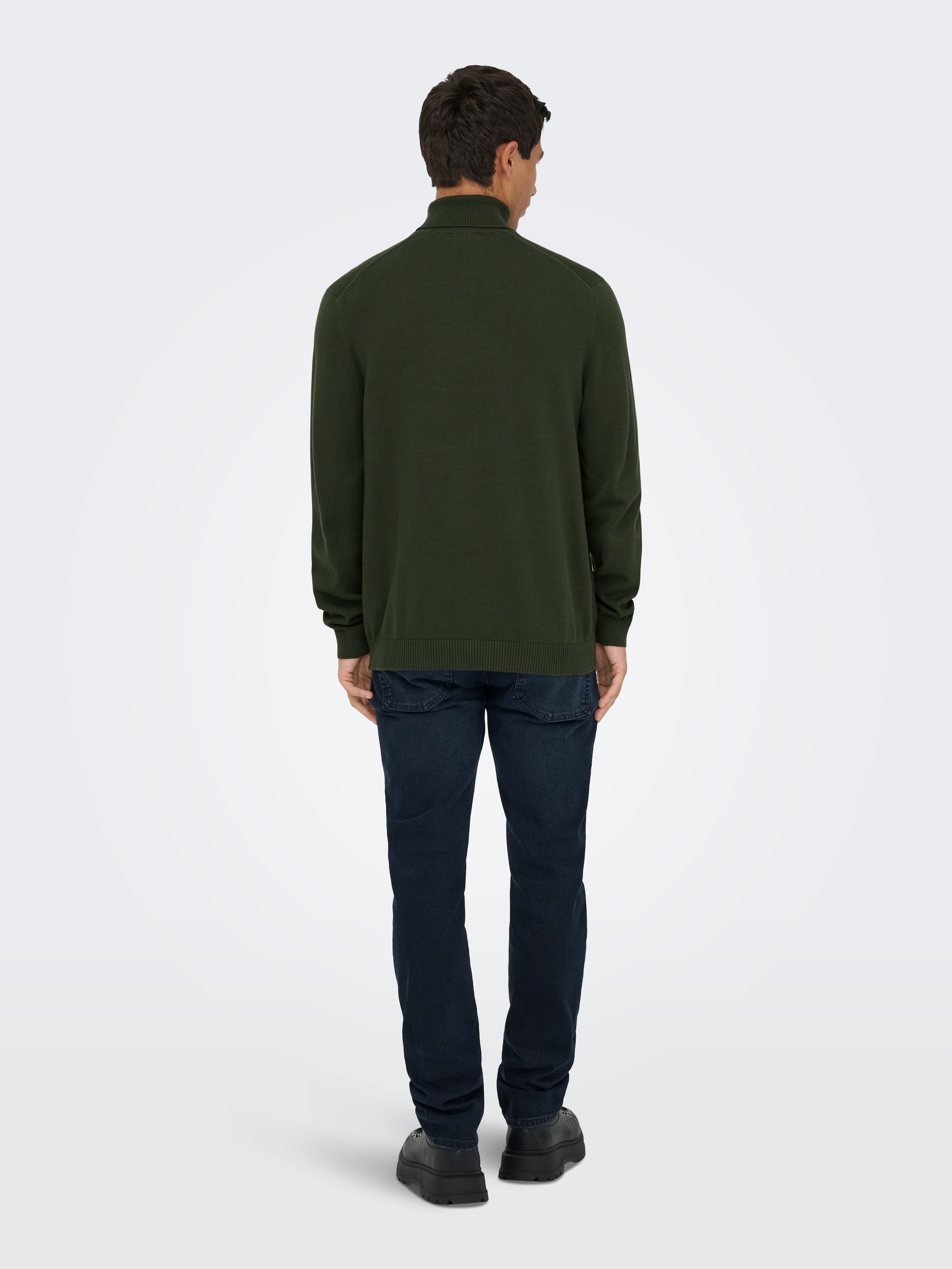 ONLY & SONS Rollkragenpullover »ONSHOLGER REG ROLL NECK KNIT - OTL«