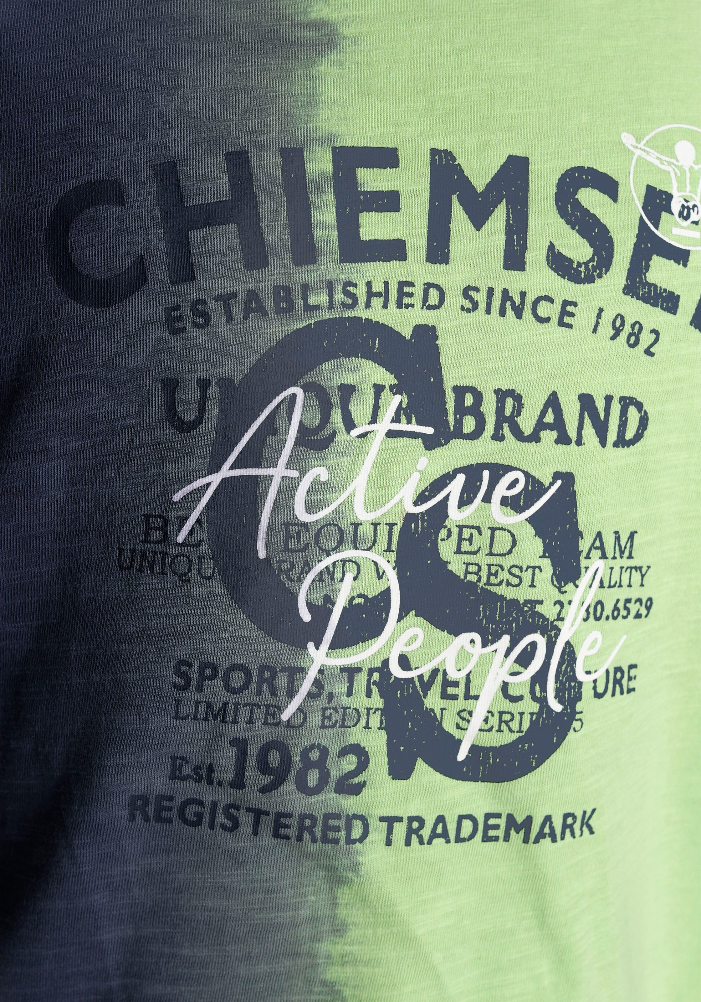 Chiemsee T-Shirt »Farbverlauf«, mit bei bestellen Farbverlauf OTTO vertikalem