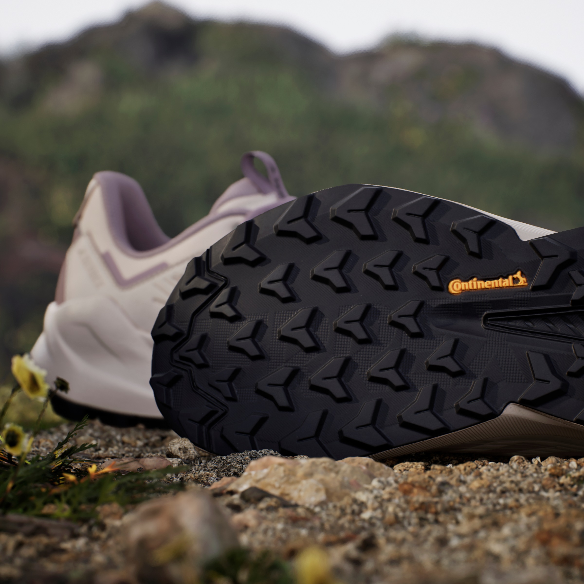 adidas TERREX Wanderschuh »TERREX TRAILMAKER 2.0 LEATHER«