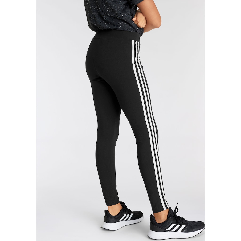 adidas Sportswear Leggings »ESSENTIALS 3-STREIFEN COTTON«, (1 tlg.)