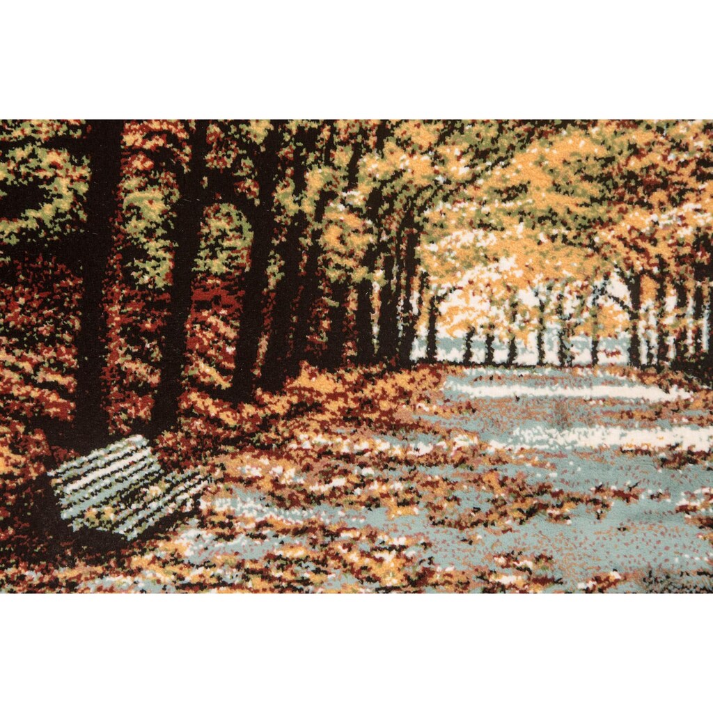morgenland Wandteppich »Bild-Teppich Figurativ 110 x 60 cm«, rechteckig