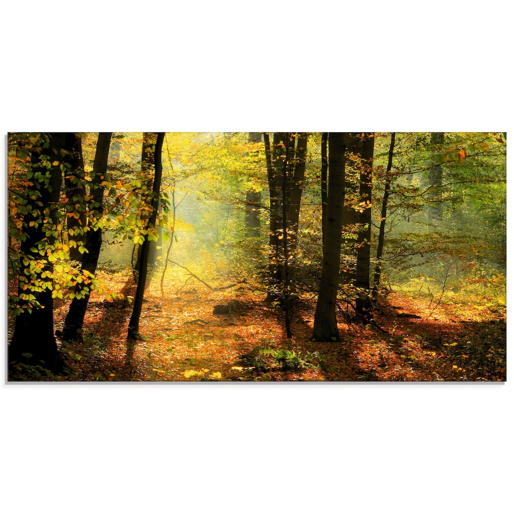 Artland Glasbild »Herbstlicht im Wald«, Wald, (1 St.)