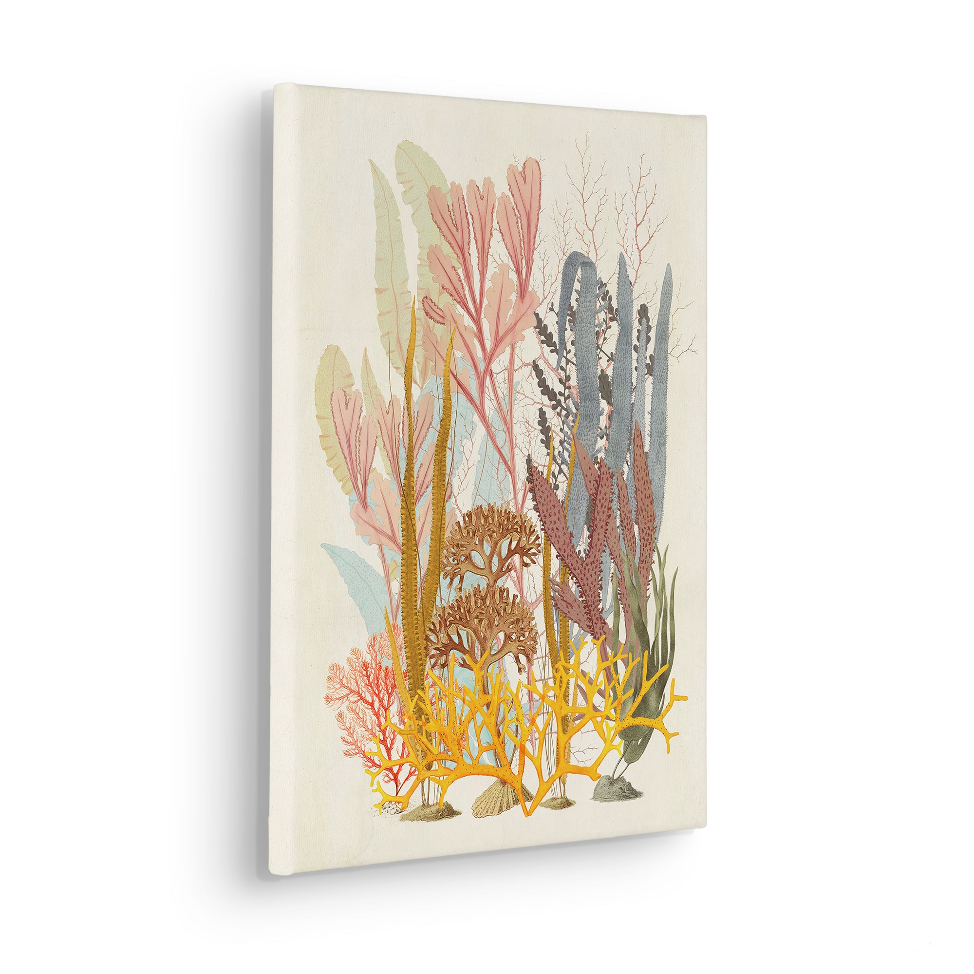 Komar Leinwandbild »Coral Aqua - Größe 30 x 40 cm«, Natur, (1 St.), Keilrahmenbild mi Echtholzrahmen