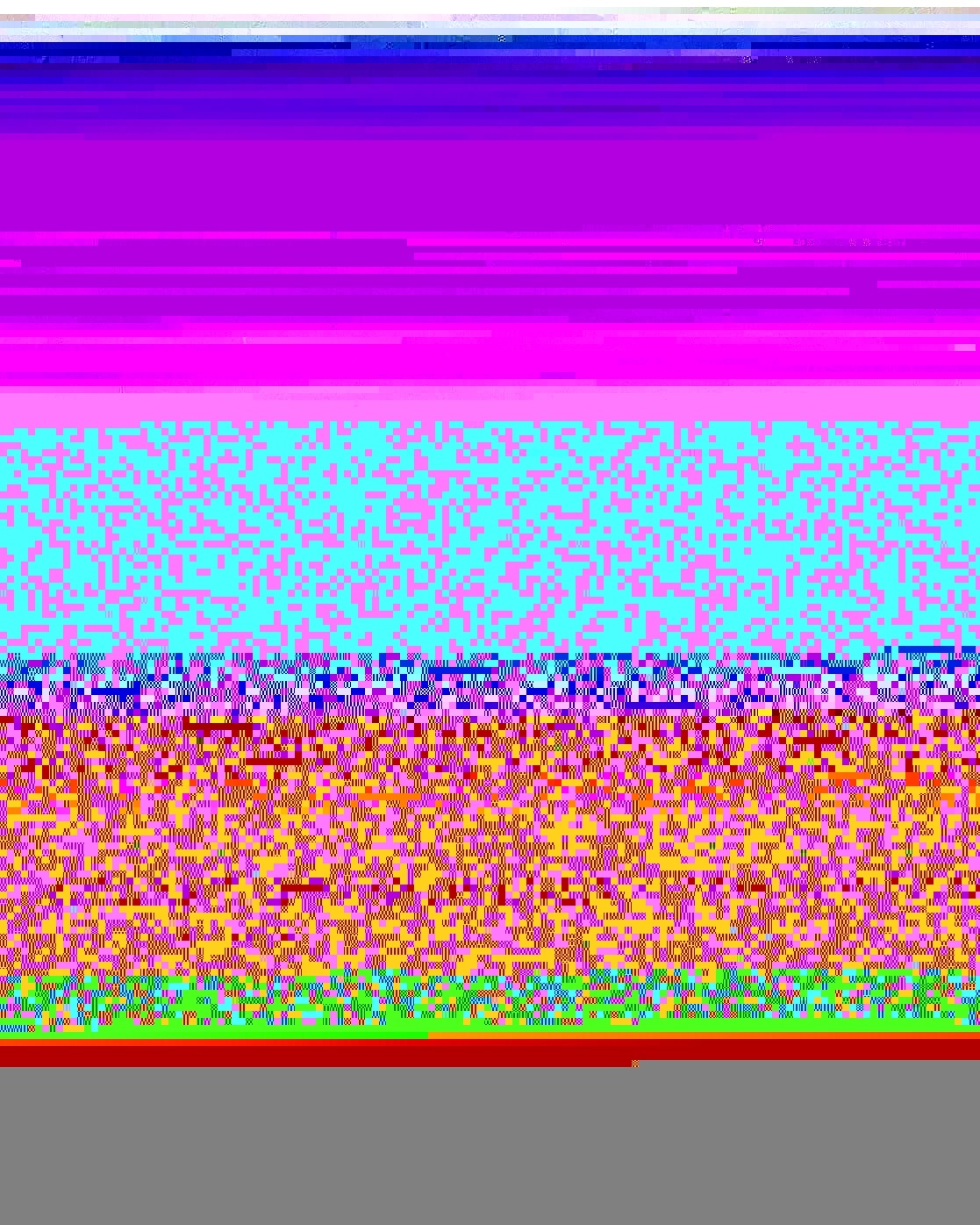 Element Sweatshirt »Element Co«
