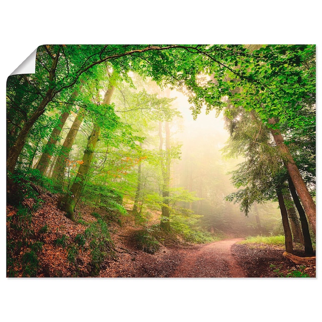 Artland Wandbild »Natürliche Torbögen durch Bäume«, Wald, (1 St.), als  Alubild, Outdoorbild, Poster, Wandaufkleber in verschied. Größen kaufen bei  OTTO