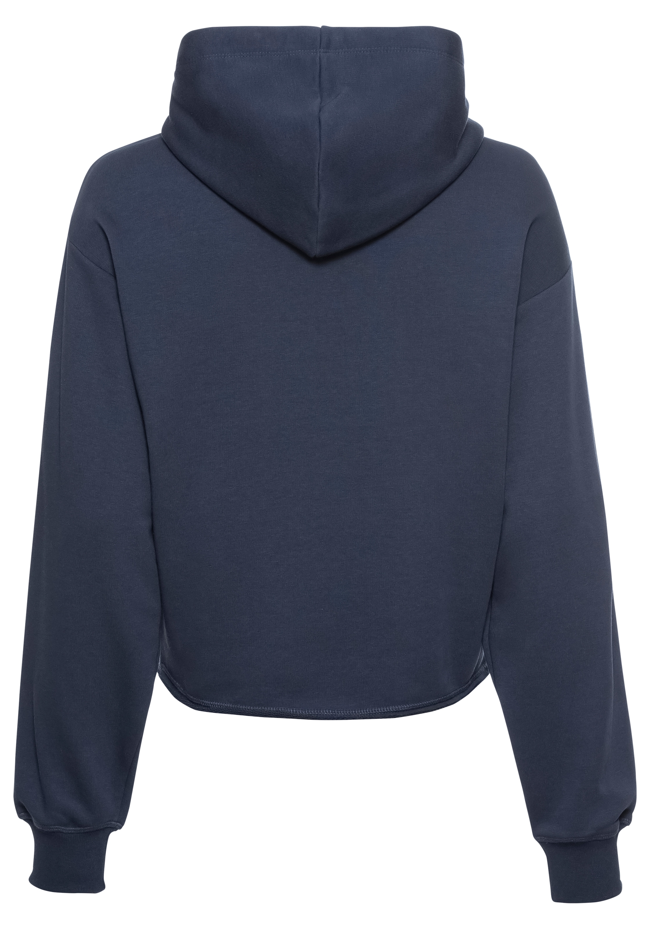 Champion Kapuzensweatshirt
