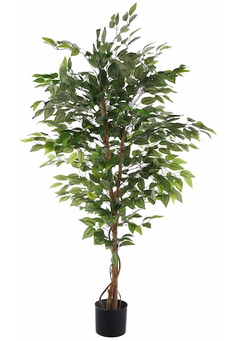 Kunstpflanze »Ficus Benjamini«