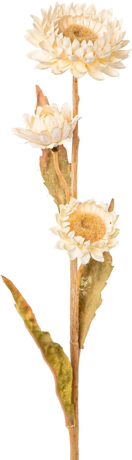 Creativ green Kunstblume »Strohblume«